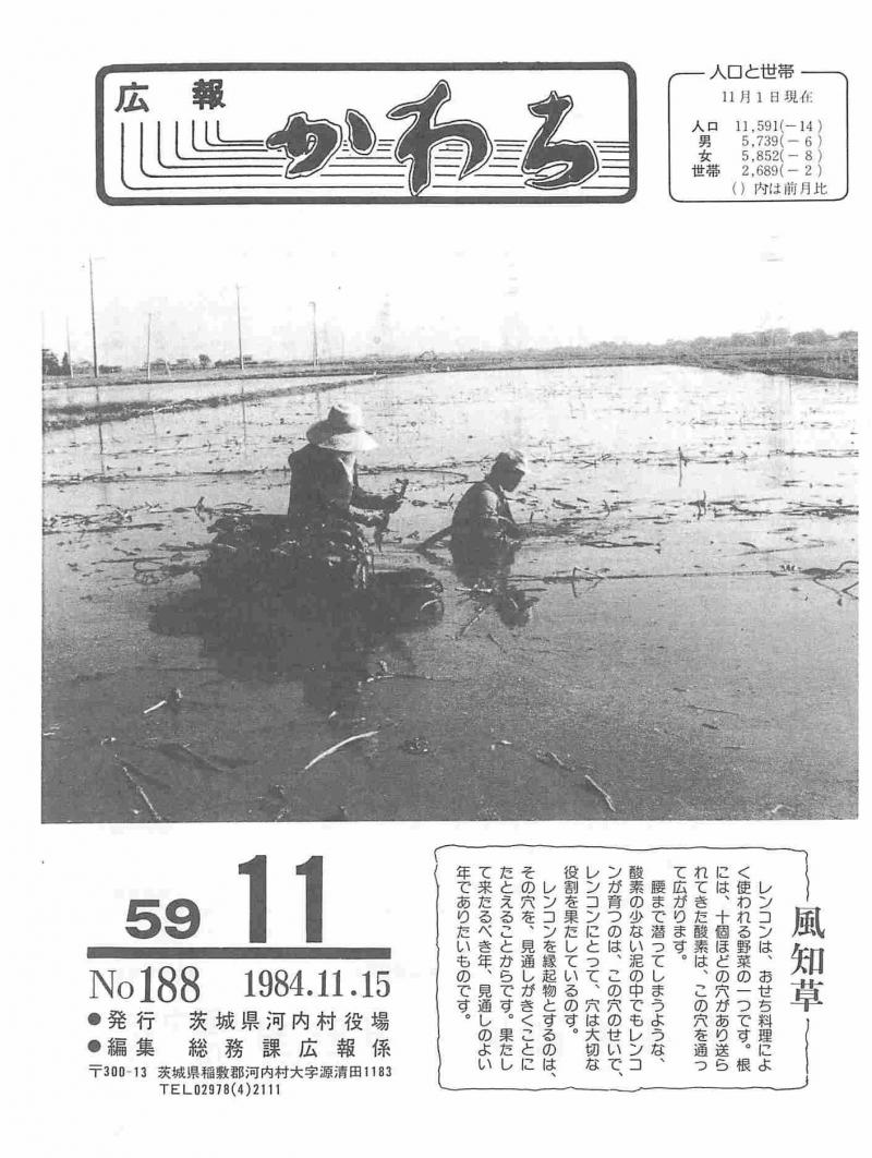 1984年11月号の表紙