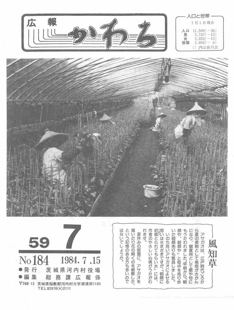 1984年7月号の表紙