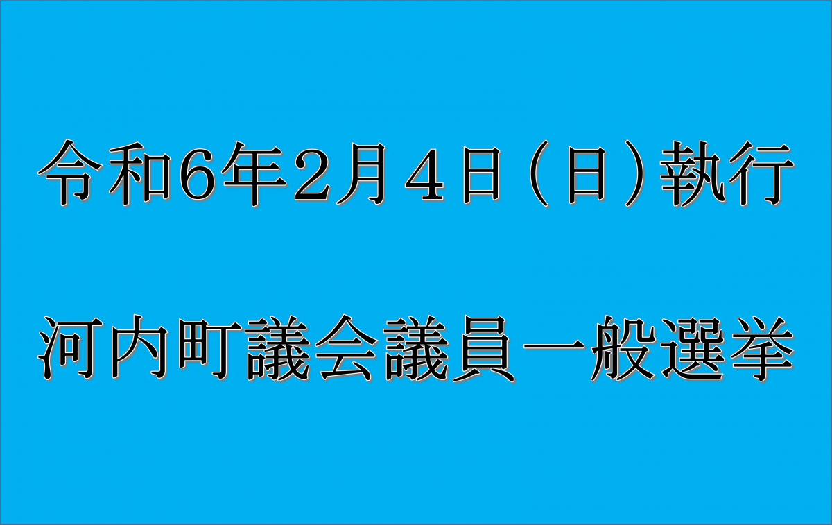 町議会選挙