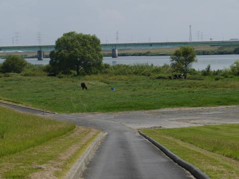 つつみ運動公園