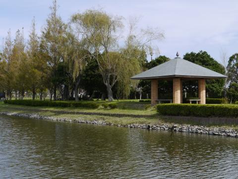 水と緑のふれあい公園1