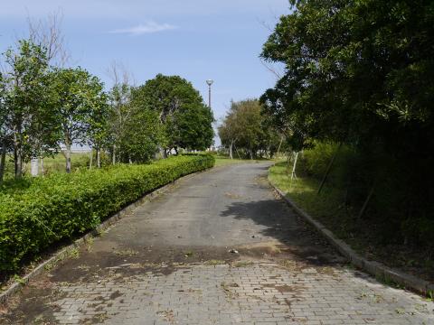 水と緑のふれあい公園1