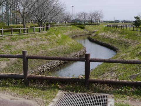 水と緑のふれあい公園1