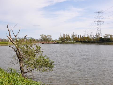 水と緑のふれあい公園3