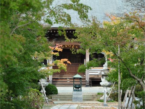大洞院1