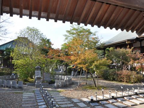 大洞院2