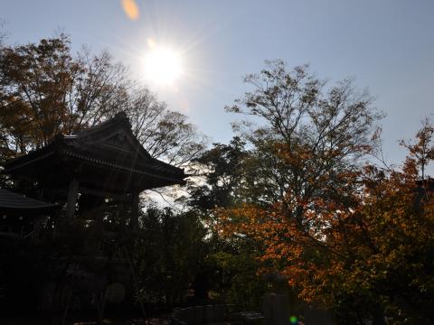 大洞院2