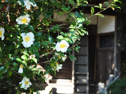大野誠夫_生家2