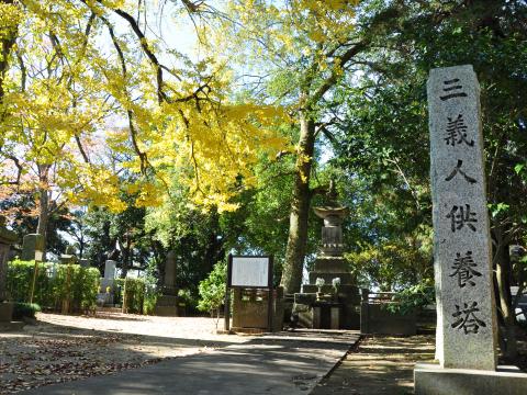 妙行寺1