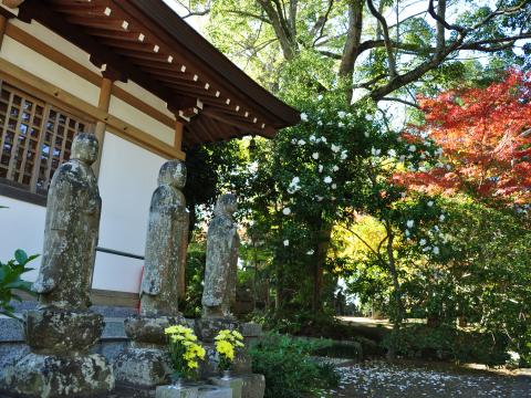 妙行寺1