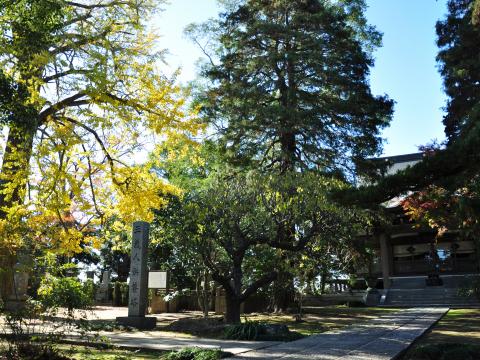 妙行寺1
