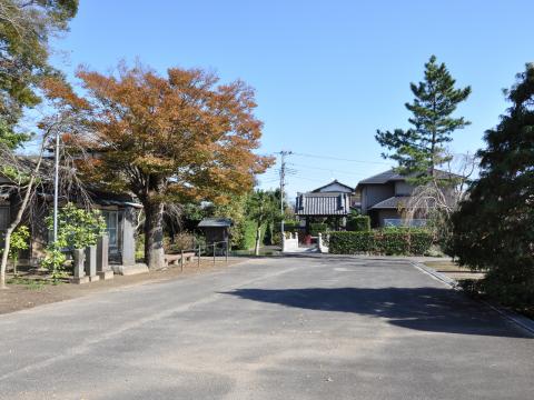 妙行寺2