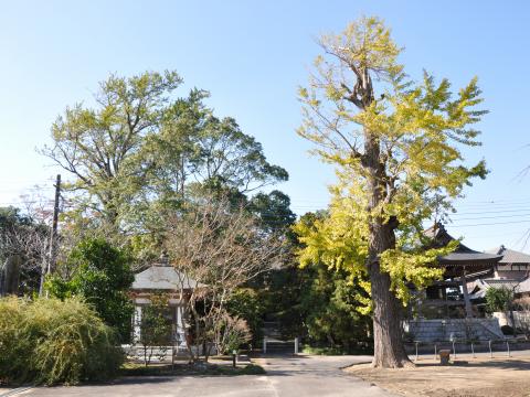 妙行寺3