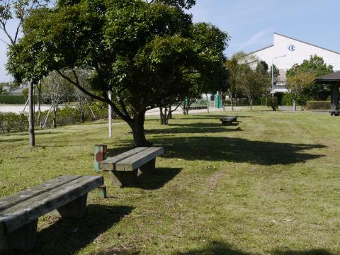 河内町多目的広場（野球場）