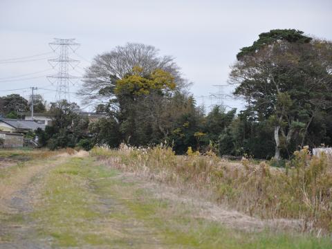 あぜ道1