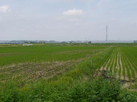 下加納