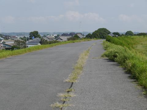 下金江津