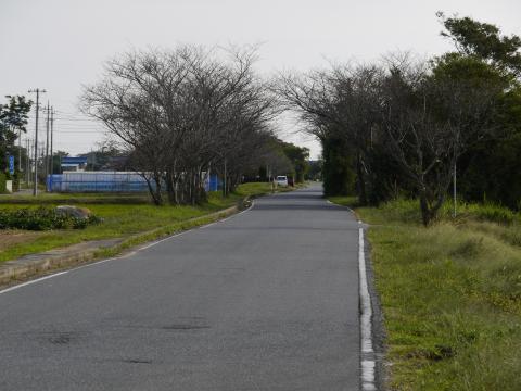 福祉センター裏