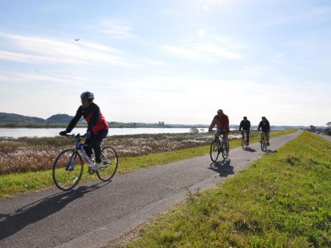 利根川サイクリングロード