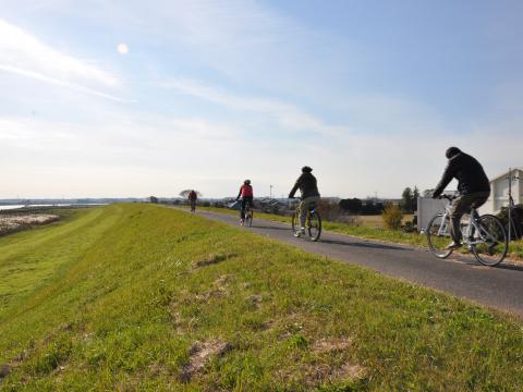 利根川サイクリングロード