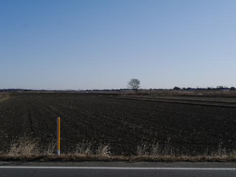 道路１