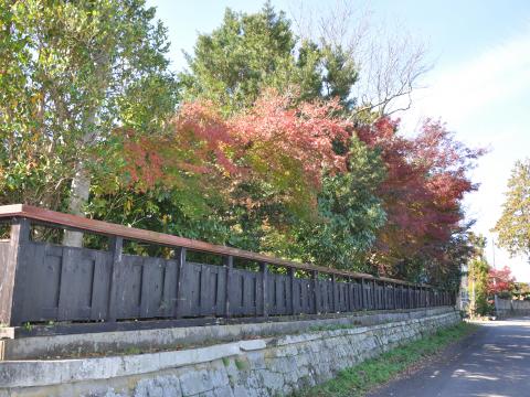 大野誠夫_生家